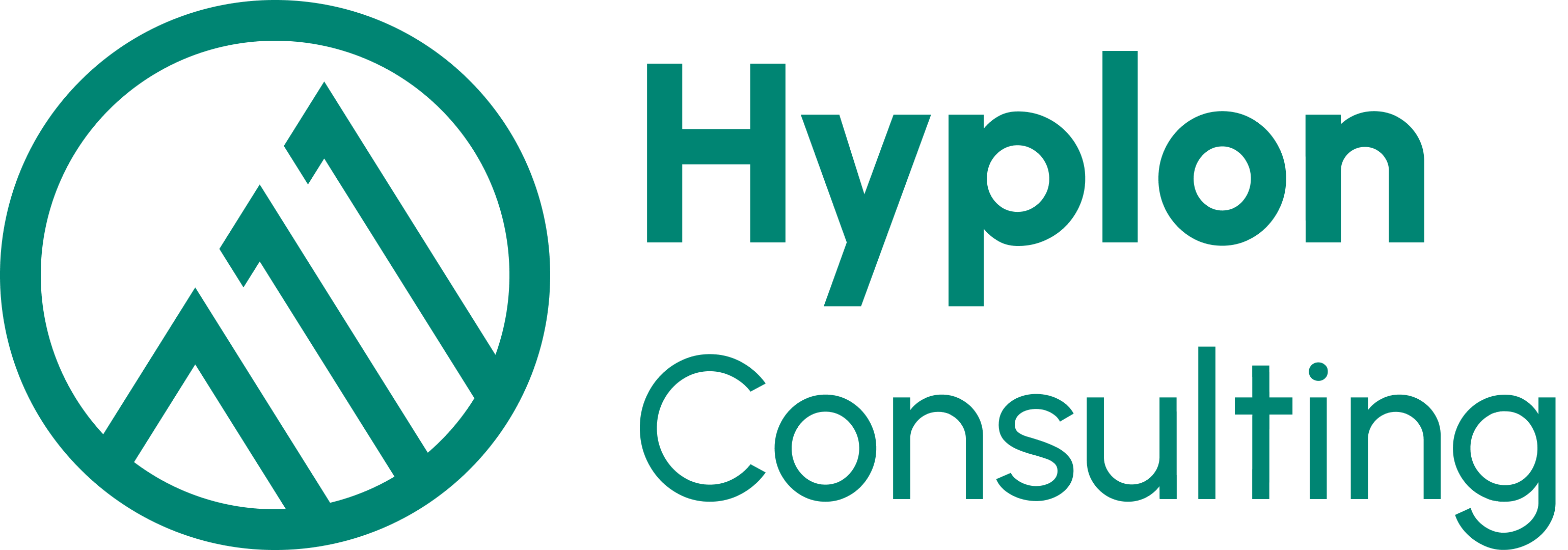 Hyplon Consulting